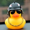 duck_steve