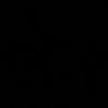 dpiana12_13