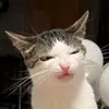 archie_dnd