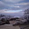 _s_a_81