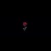 ed_one1