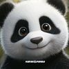 nafas.panda
