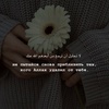 maryam_r.sh