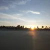 syxsyx77