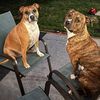 jesseandrustysmom