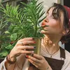🌱
