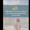 www.tiko237