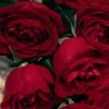 ashiqataiward6