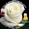 banmai31220674121