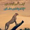 user223273072