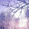 abdulrahman59447