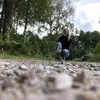 glimmisen04