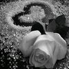 user2322487349858