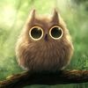 neuroticowl