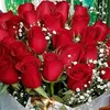 ayeshaabrar18