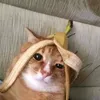 kylewastaken29