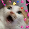 ushu_30