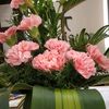 surachandana4