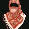 hamdiahmed58