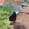 sabbath_t