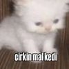 baestw