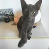 juanilli7
