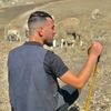 fatehchougui