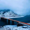 palane_99