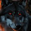 user3x9ryplcqs