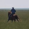 Cowboycuts
