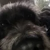 lluckie7