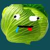 insultable_cabbage