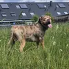 user246712072
