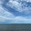 kanz_5555