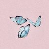 butterfly_luvvv