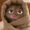 rainy_nffay