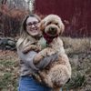 gelato.the.doodle