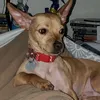 kasheirabarkley