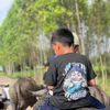 thanapat036