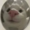 imkodel