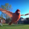 feather_godmother