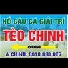 teochinh_td
