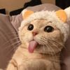 qutiebien