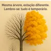 marciene.l