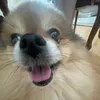 sunqwx_0