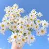 ruoulinh689