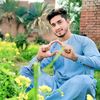 ..syed..wali