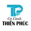 cacanhthienphuc