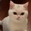 it_s_bank