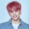 renhyuck11